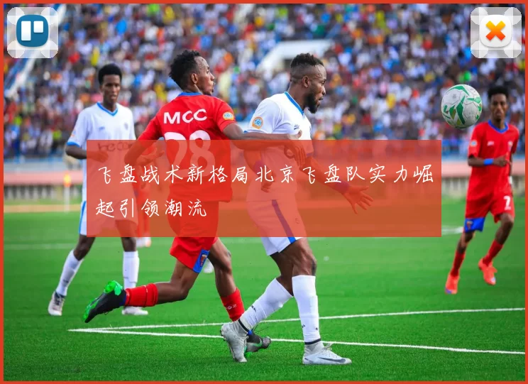 飞盘战术新格局北京飞盘队实力崛起引领潮流
