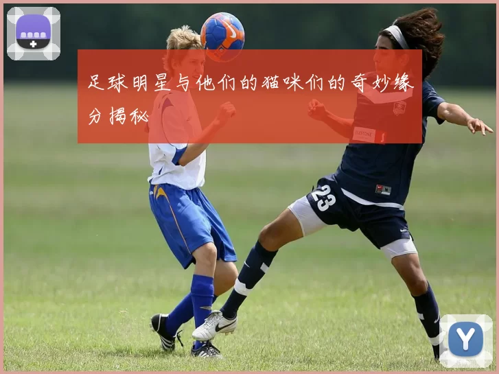 足球明星与他们的猫咪们的奇妙缘分揭秘