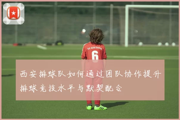西安排球队如何通过团队协作提升排球竞技水平与默契配合