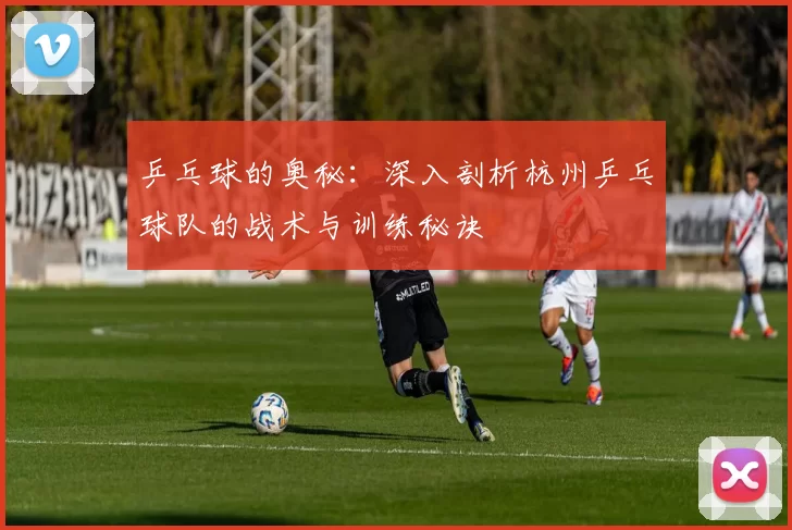 乒乓球的奥秘：深入剖析杭州乒乓球队的战术与训练秘诀