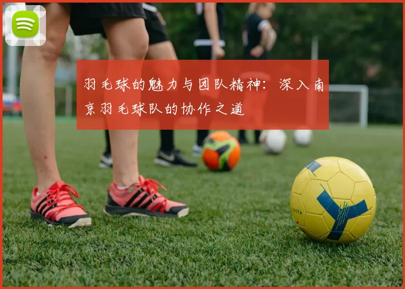 羽毛球的魅力与团队精神：深入南京羽毛球队的协作之道