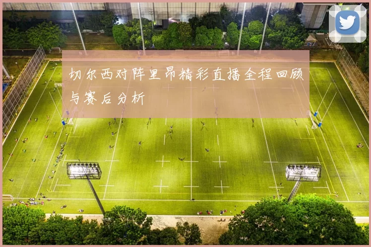 切尔西对阵里昂精彩直播全程回顾与赛后分析