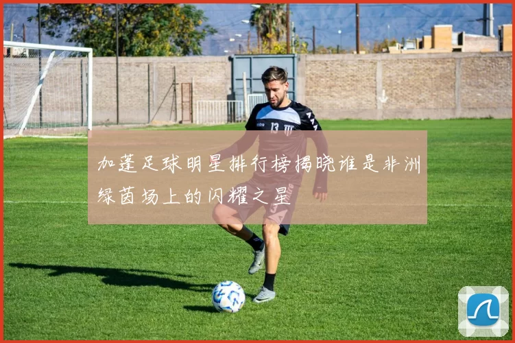 加蓬足球明星排行榜揭晓谁是非洲绿茵场上的闪耀之星