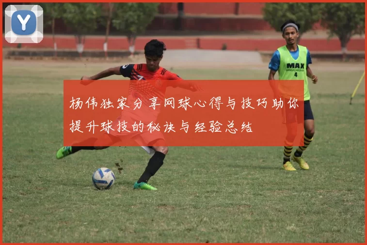 杨伟独家分享网球心得与技巧助你提升球技的秘诀与经验总结
