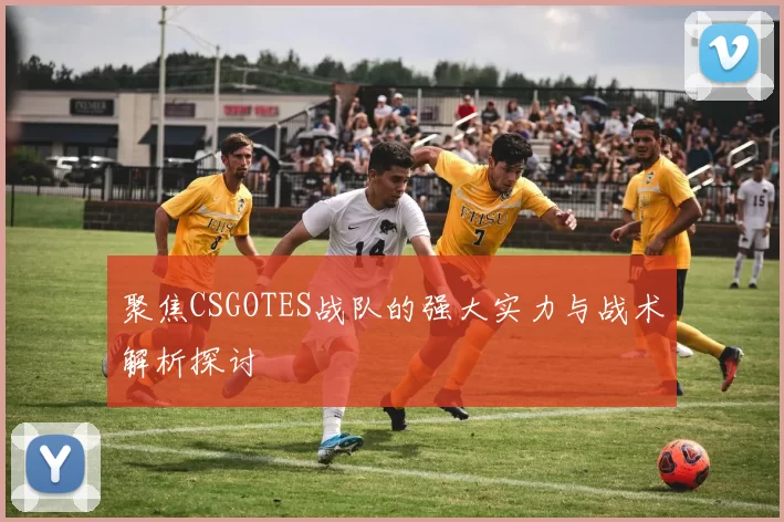 聚焦CSGOTES战队的强大实力与战术解析探讨