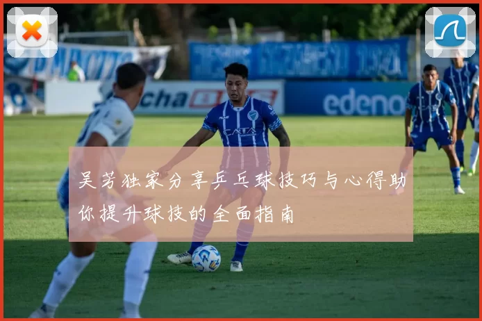 吴芳独家分享乒乓球技巧与心得助你提升球技的全面指南